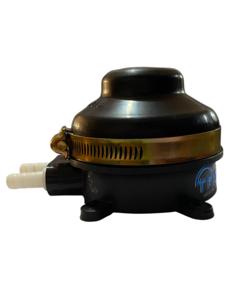 Imagen de WhatsApp 2025-05-12 a las 10.38.07_6a296fb3-Photoroom