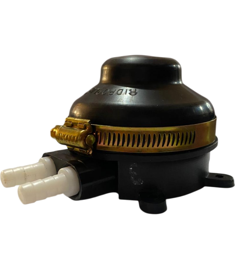 Imagen de WhatsApp 2025-05-12 a las 10.38.08_e2ca7110-Photoroom